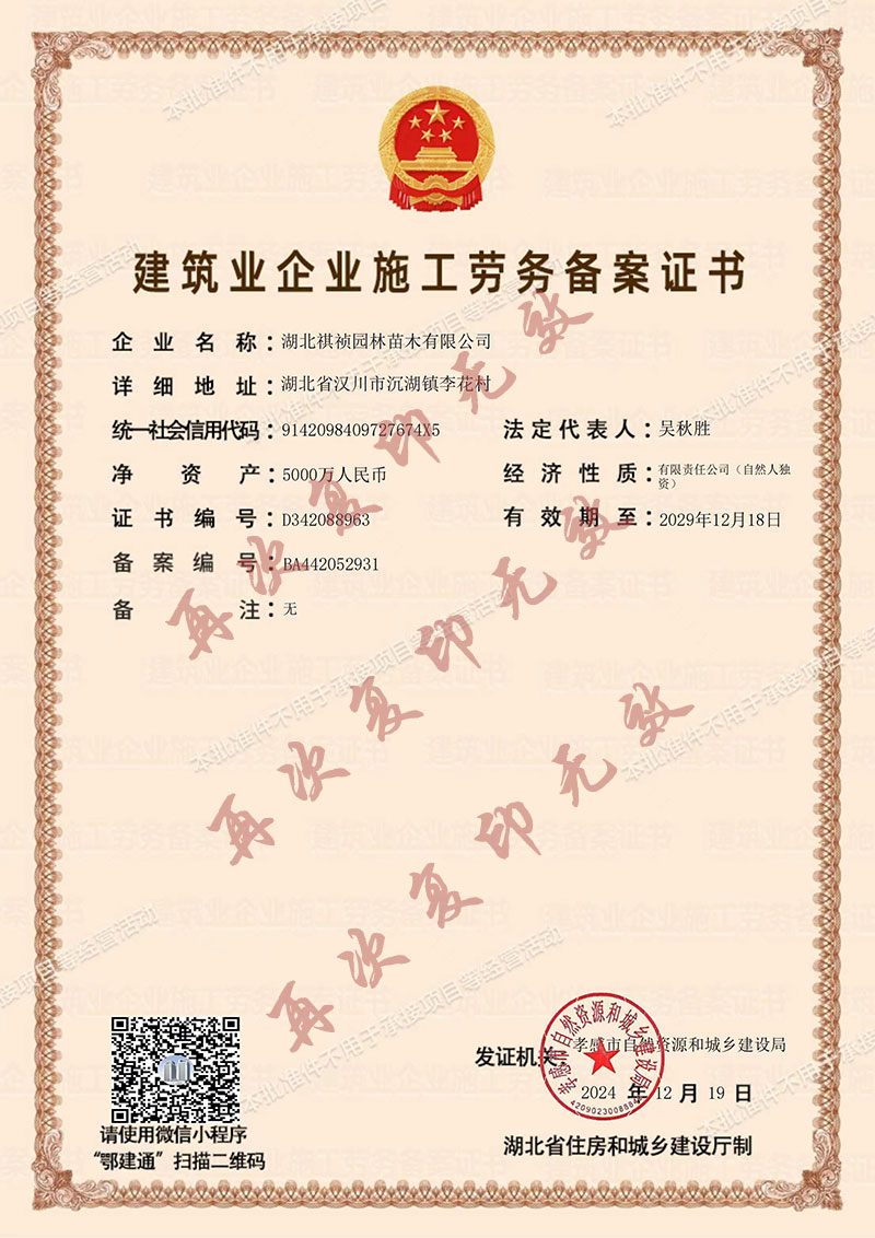建筑業(yè)企業(yè)施工勞務(wù)備案證書.jpg